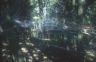 045BreathingTrees.jpg